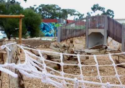 Dirtwork Landscapes - Netting structures
